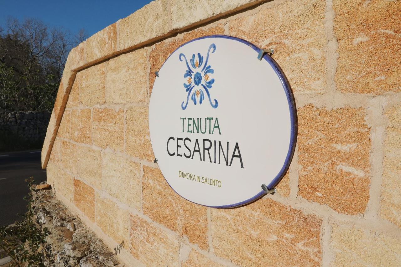 Tenuta Cesarina อเลซซาโน ภายนอก รูปภาพ
